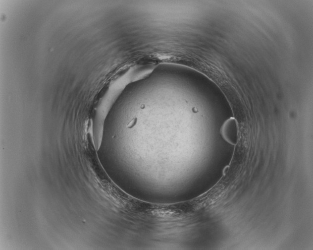 X0000087390650200704271623