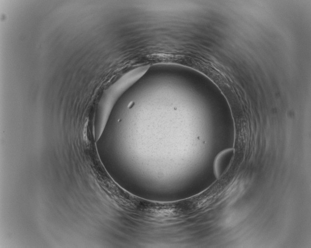 X0000087390651200704271623