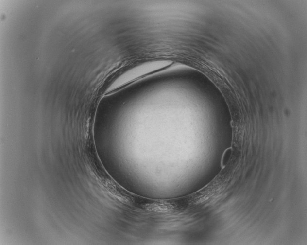 X0000087390652200704271623