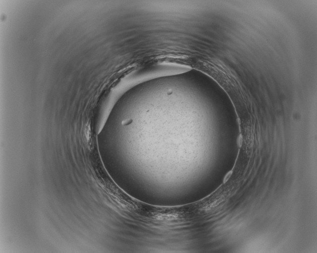 X0000087390653200704271623