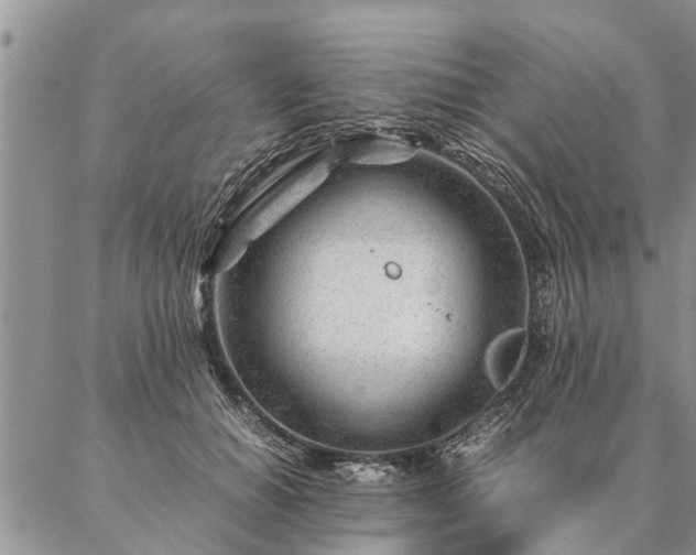 X0000087390654200704271623