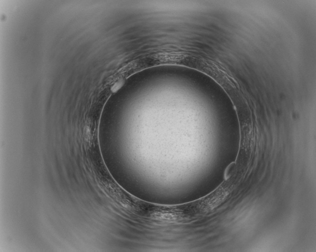 X0000087390655200704271623