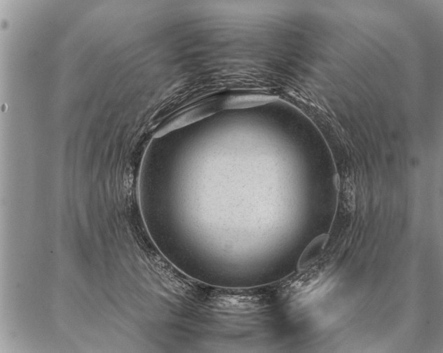 X0000087390657200704271623