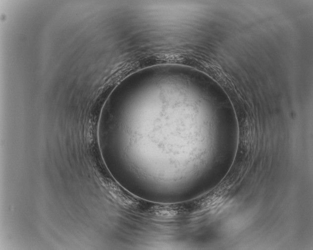 X0000087390658200704271623