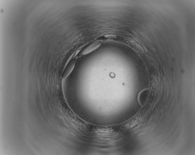 X0000087390659200704271623