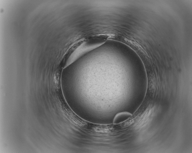 X0000087390661200704271623