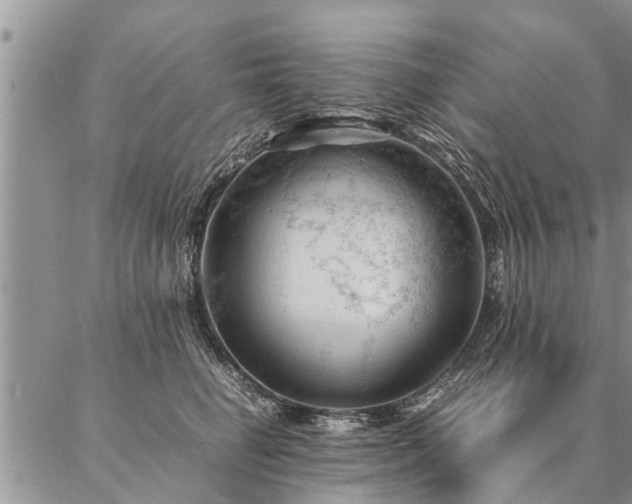 X0000087390662200704271623