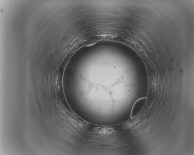 X0000087390663200704271623