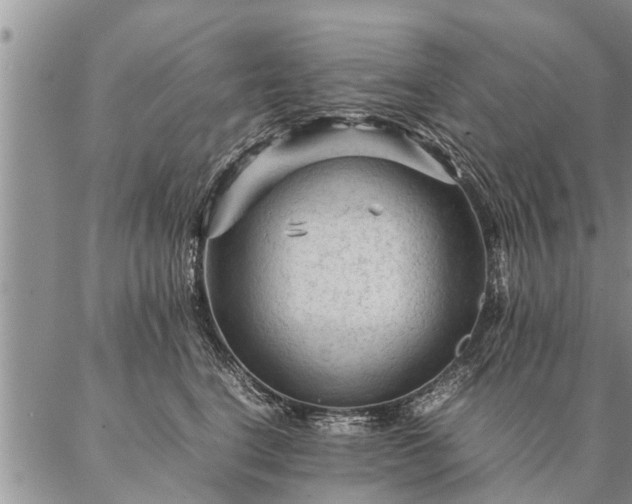 X0000087390664200704271623