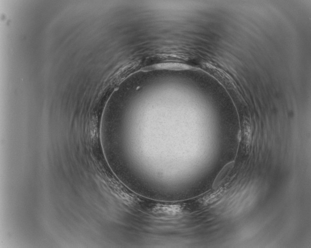 X0000087390665200704271623