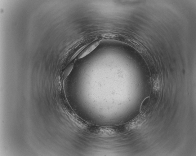 X0000087390666200704271623