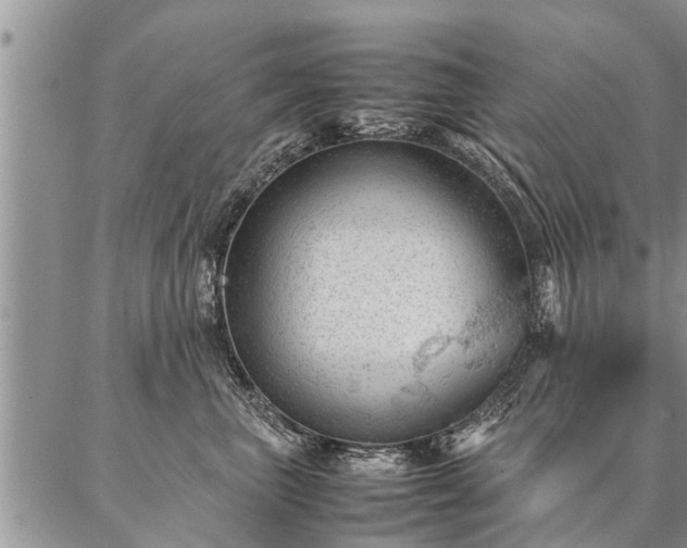 X0000087390667200704271623