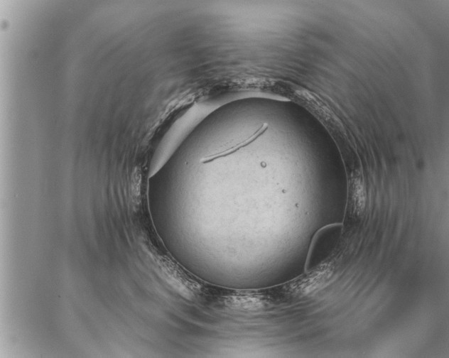 X0000087390668200704271623