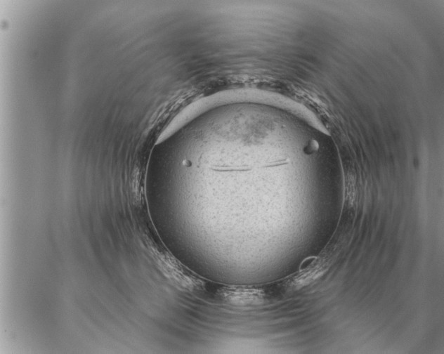 X0000087390670200704271624