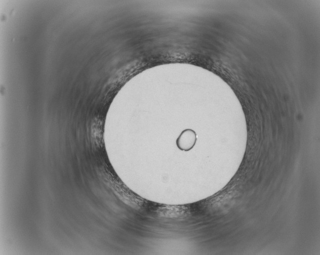 X0000087390672200704271624