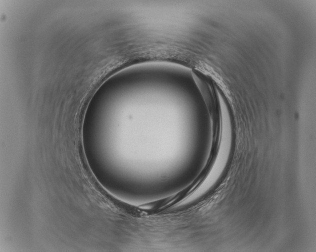 X0000087390673200704271623