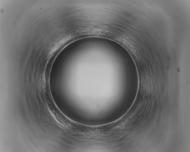 X0000087390674200704271623