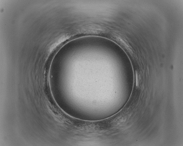 X0000087390675200704271623