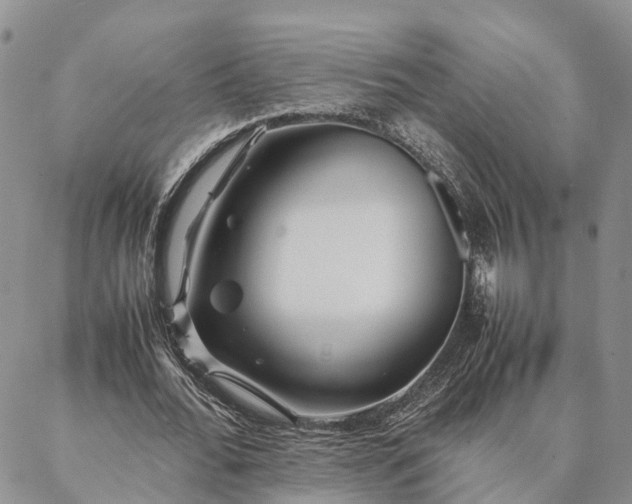 X0000087390676200704271623