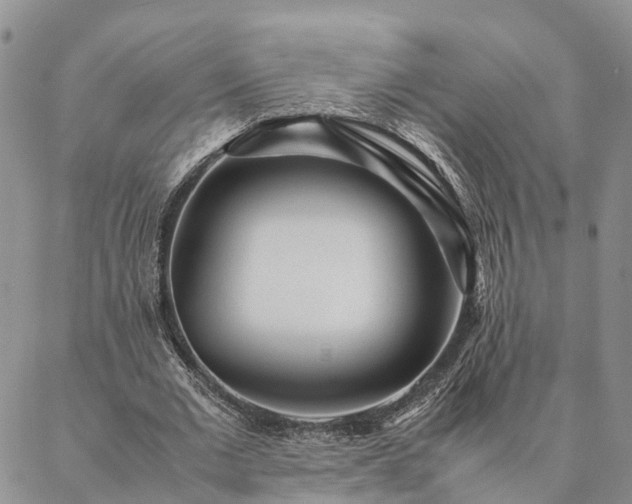 X0000087390677200704271623