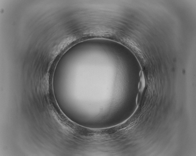 X0000087390678200704271623