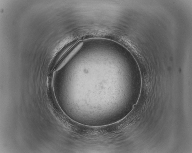 X0000087390679200704271623