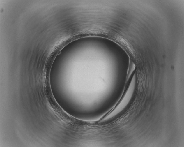 X0000087390680200704271623