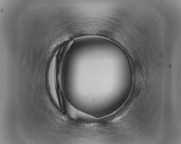 X0000087390681200704271623