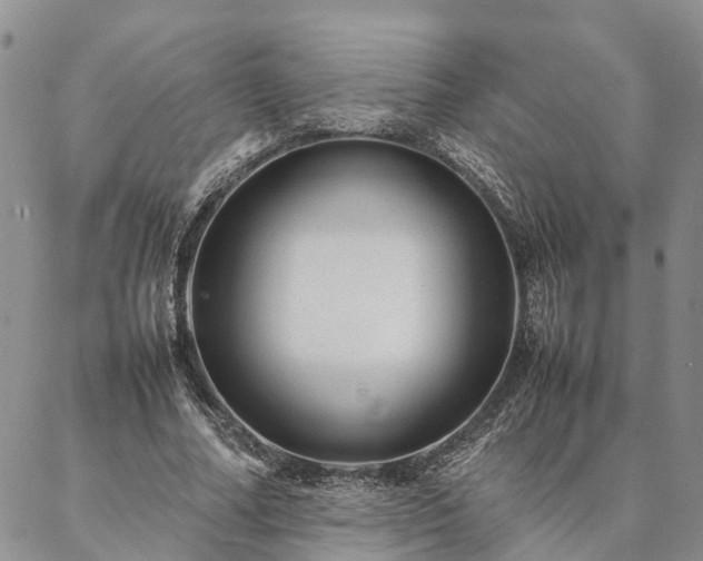 X0000087390682200704271623