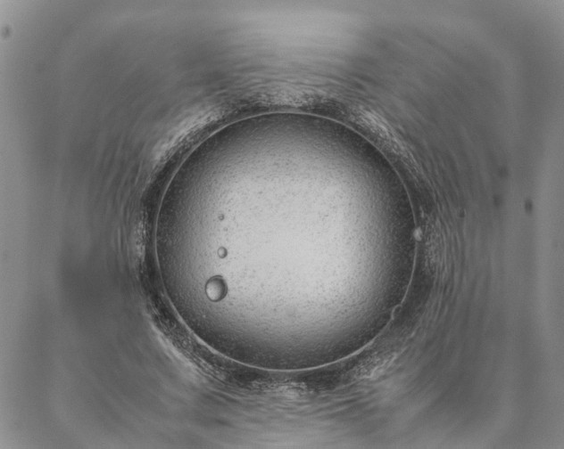 X0000087390683200704271623