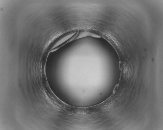 X0000087390684200704271623