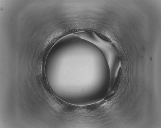 X0000087390685200704271623