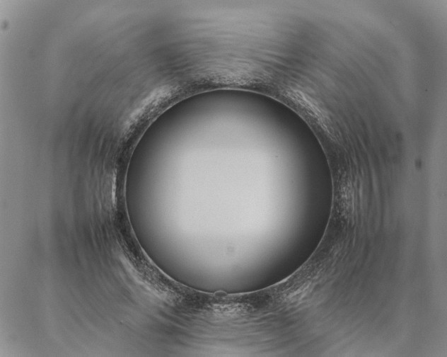 X0000087390686200704271623