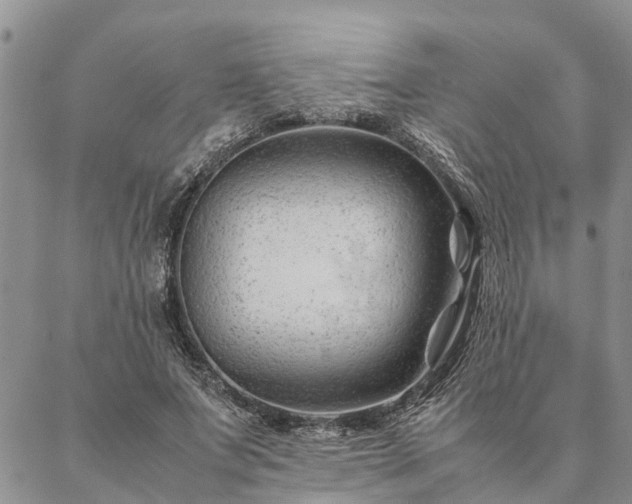 X0000087390687200704271623