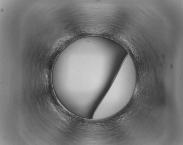 X0000087390688200704271623