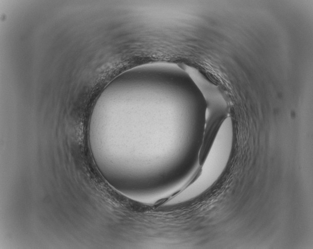 X0000087390689200704271623