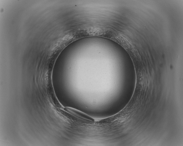 X0000087390690200704271623