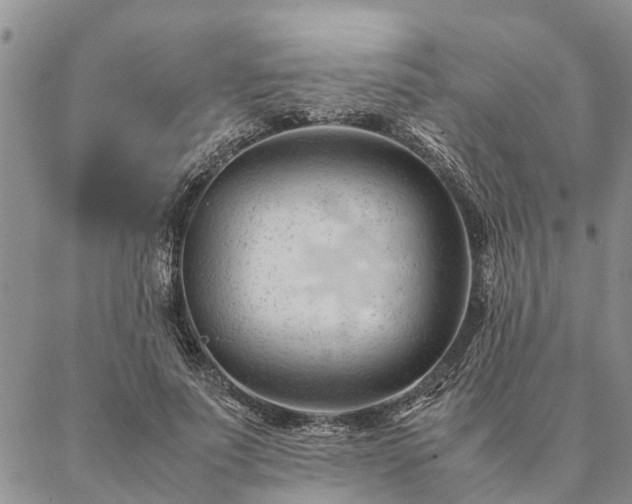 X0000087390691200704271622