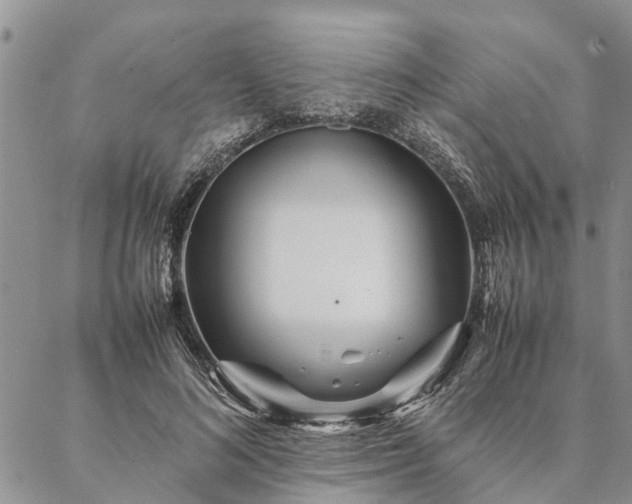 X0000087390692200704271622