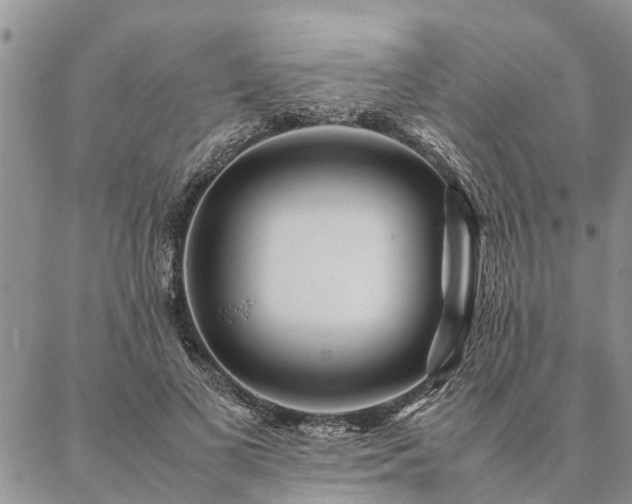 X0000087390693200704271622