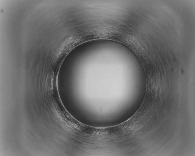 X0000087390694200704271622