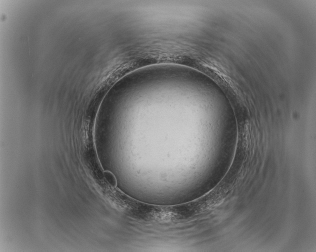 X0000087390695200704271622