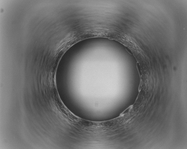 X0000087390696200704271622