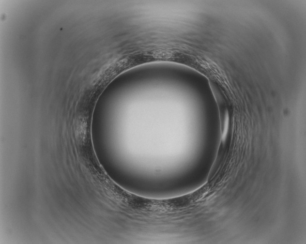 X0000087390697200704271622