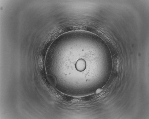 X0000087390699200704271622