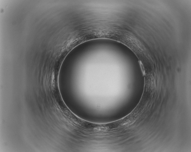 X0000087390700200704271622