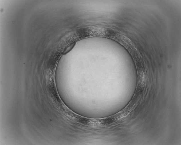 X0000087390701200704271622