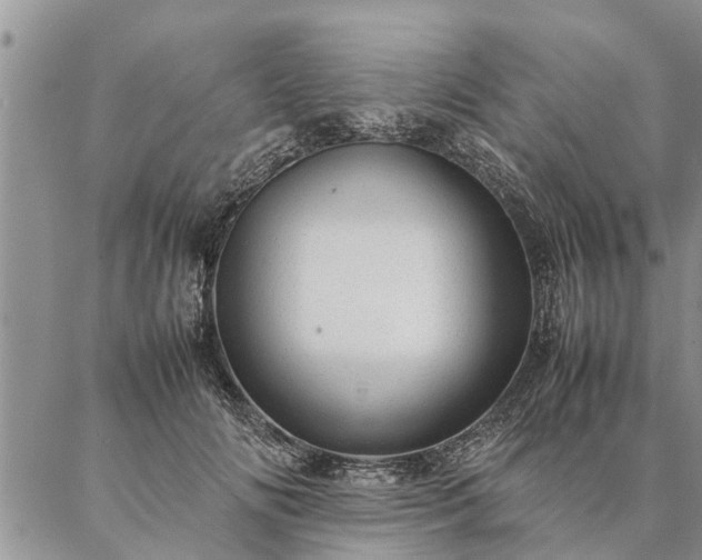 X0000087390702200704271622