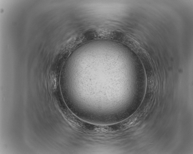 X0000087390703200704271622