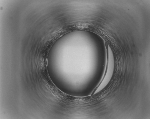 X0000087390704200704271622